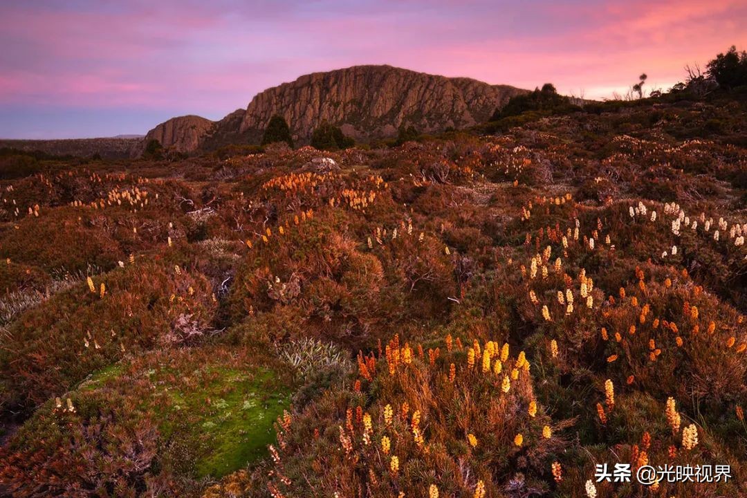 野花的风景,2020国际风景摄影大赛获奖作品
