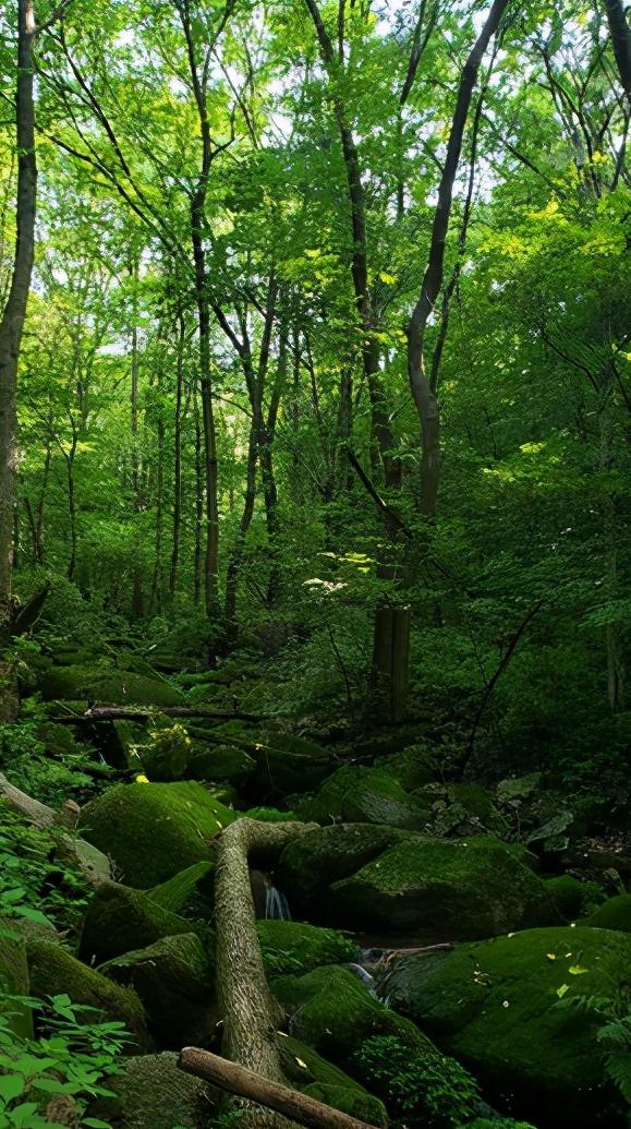 辽宁省14个市抚顺排第几,辽宁抚顺都有哪些区