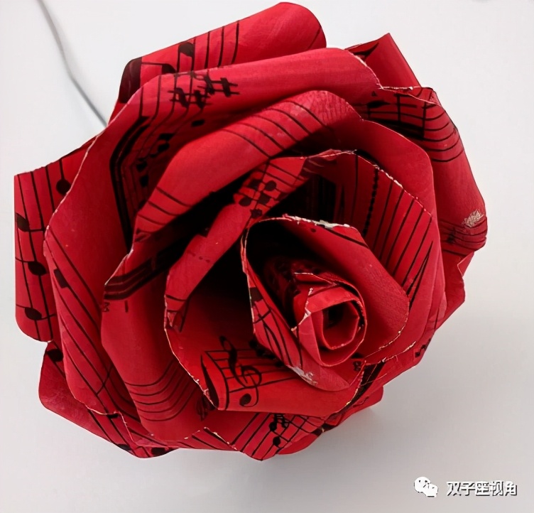 好歌赏析，听歌学英语——PaperRoses纸玫瑰