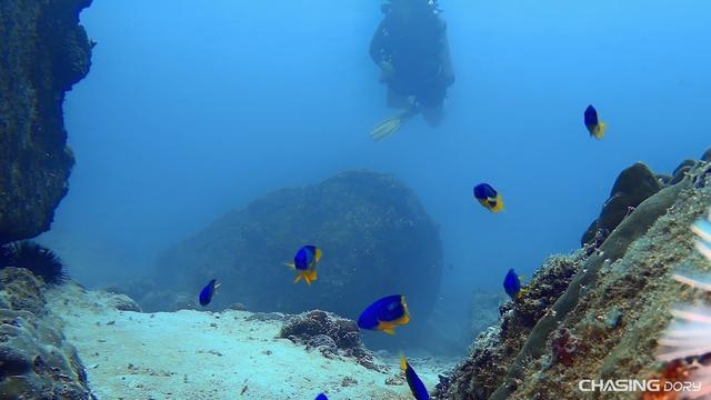 潜行无人机测试,潜拍无人机