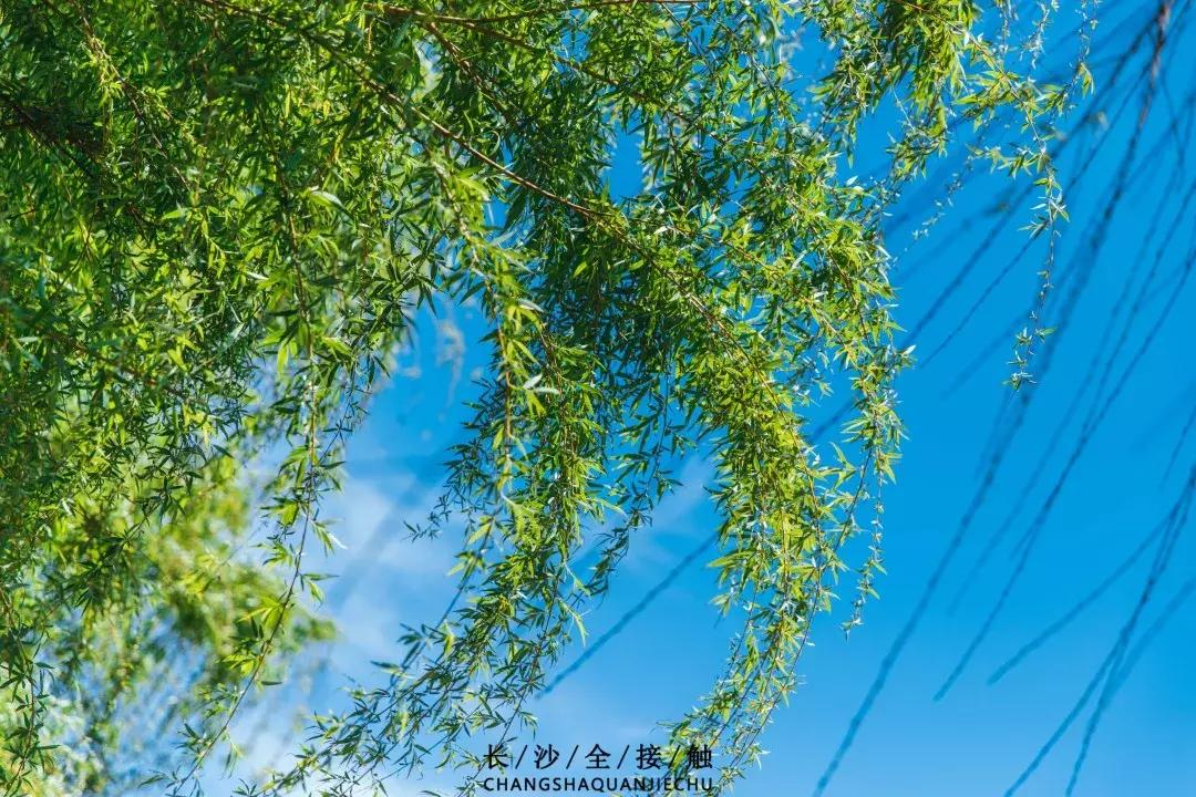 交院武广校区,交院在哪边