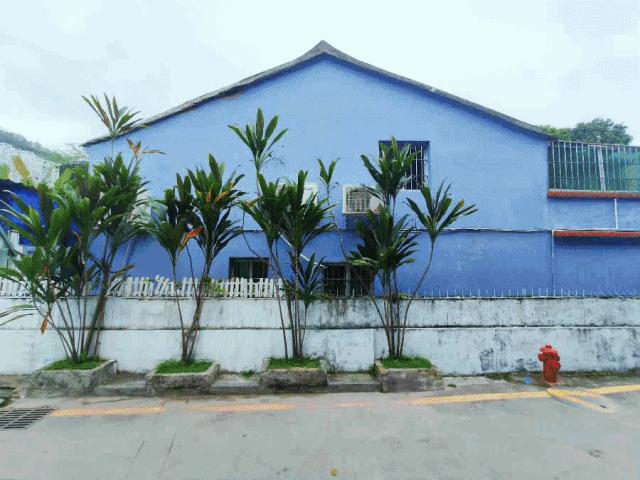 深圳海边官湖村游玩地点推荐,官湖深圳