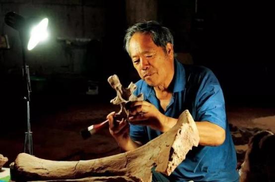 中国最著名的恐龙是什么恐龙,在中国发现的肉食恐龙有哪些