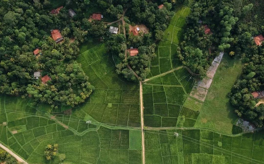 陕西一村一品补贴方案,一村一品补贴名单