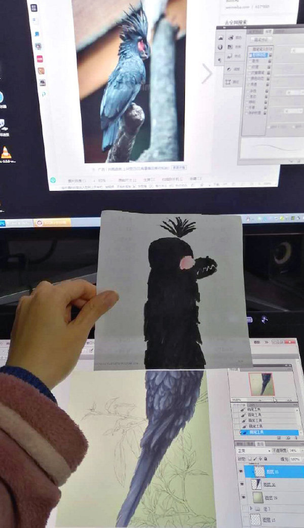 一进门就看见小蜜蜂在追着神奇女侠