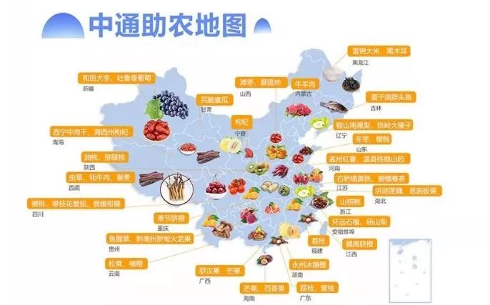 中通的来历,中通那些你不知道的特产