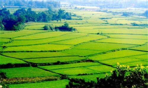 选调生回市直单位怎么样,选调生到村任职工作感悟