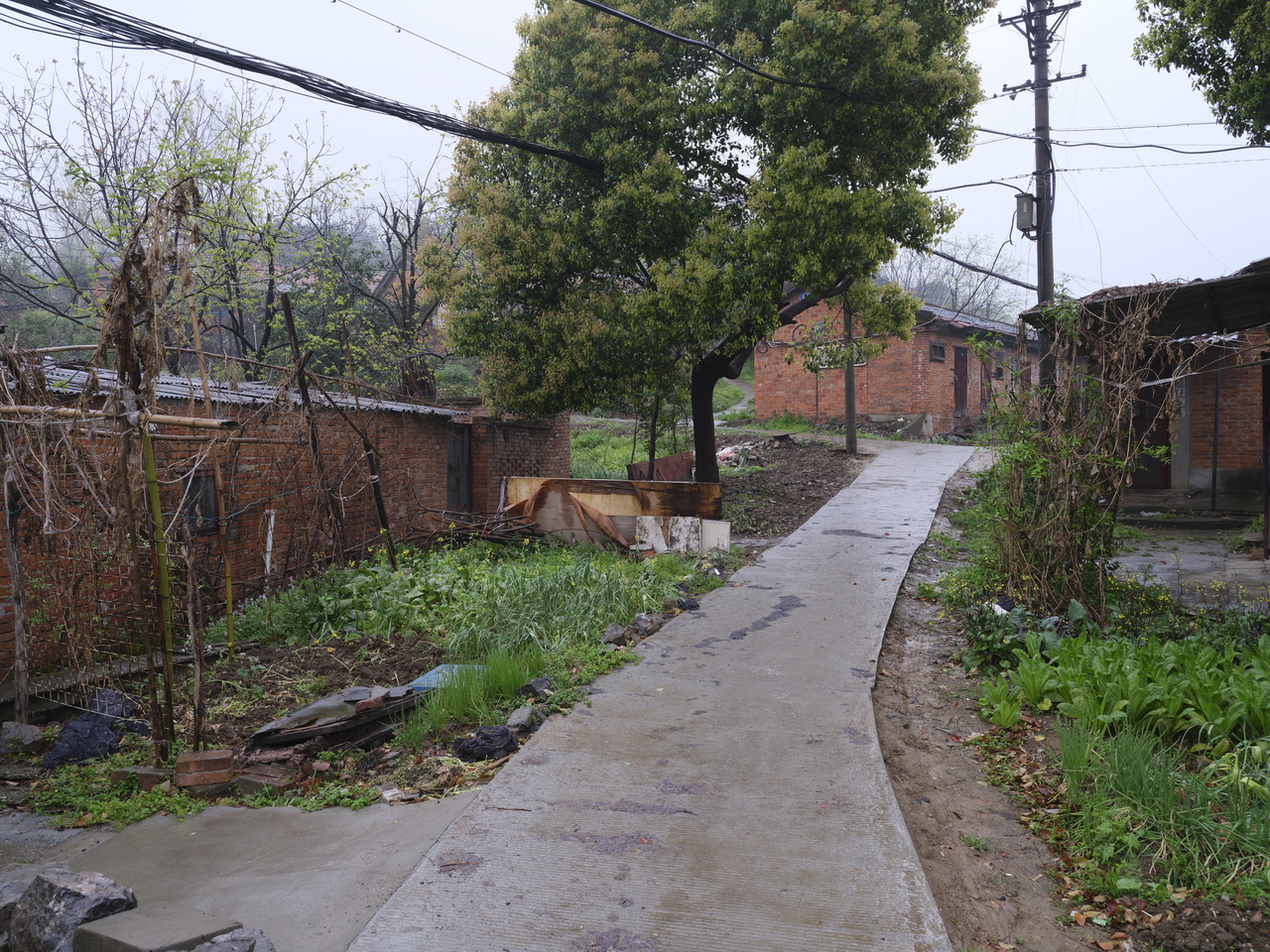 湖北三线536厂,三线厂汉丹机械厂