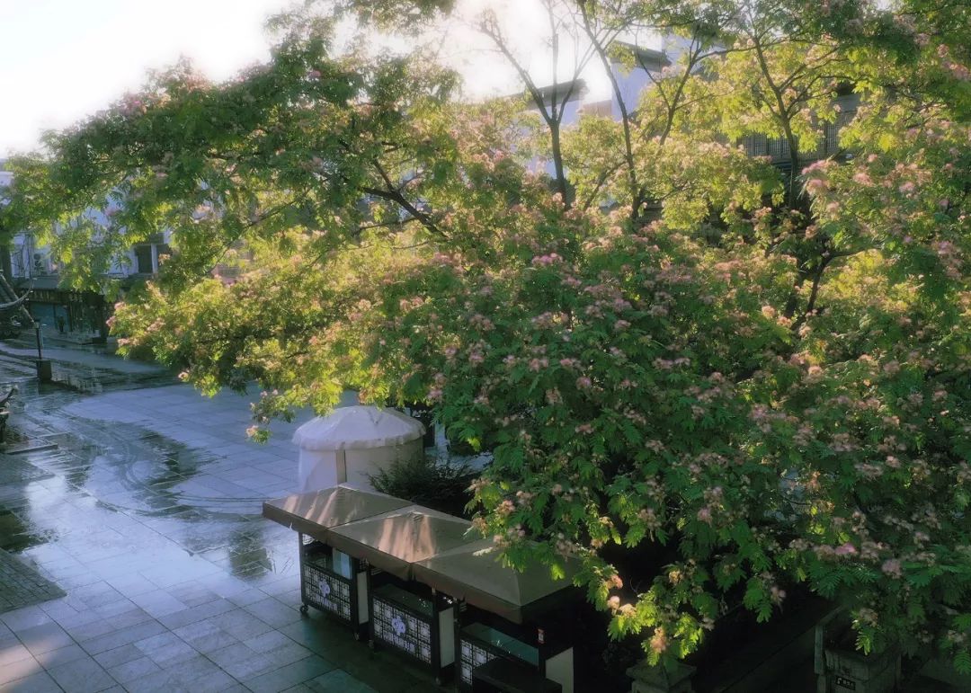 南京历史感沉重的古都,烟水南京