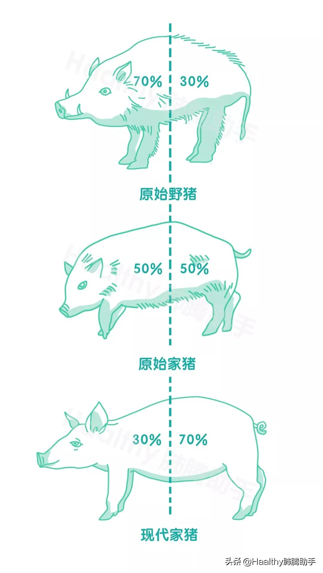 戒不掉垃圾食品,戒不掉的十种食物