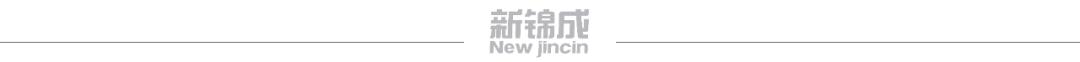 改革促发展：职业院校多角度提升教育教学|新锦成数说