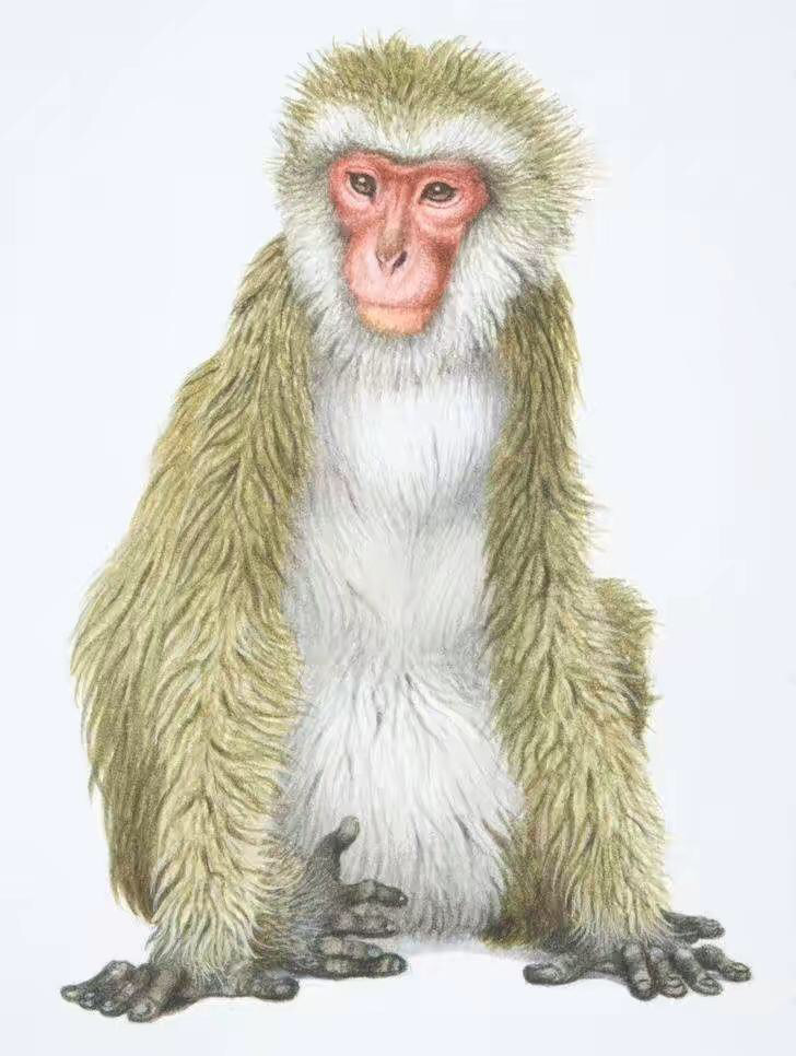 2019犯太岁的生肖,2019犯太岁和化解