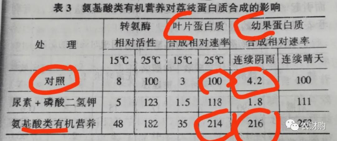 柑橘树现在落叶怎么回事,柑橘现在会黄落叶这是怎么了