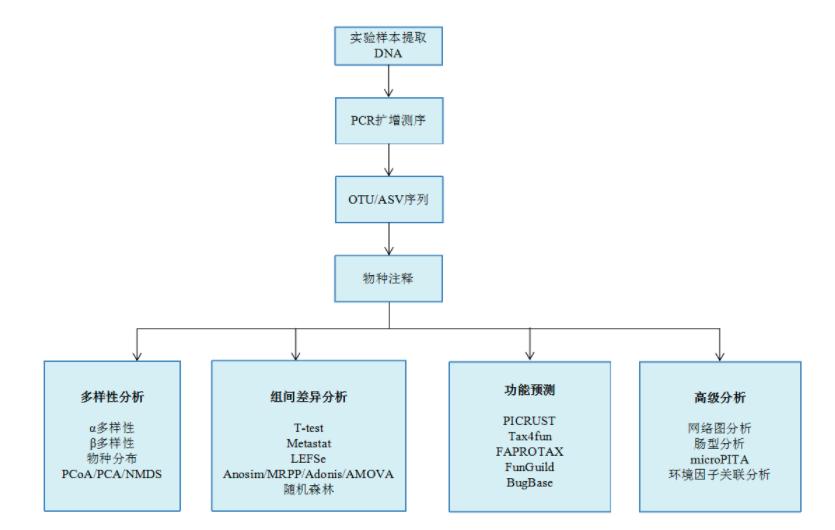 16s高通量测序仪器,16rdna测序技术