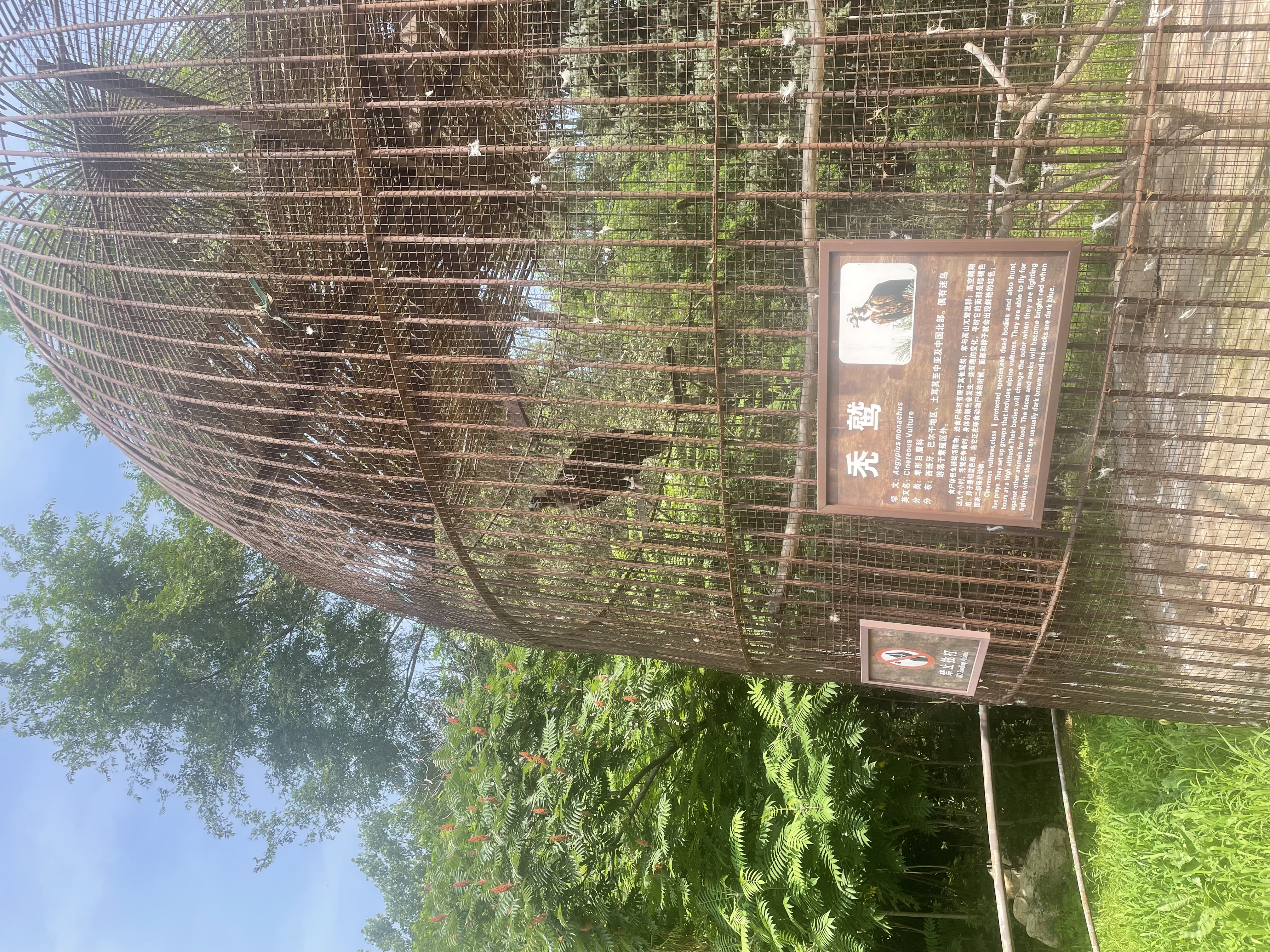 沈阳森林动物园春游,五一小长假去沈阳森林动物园游玩