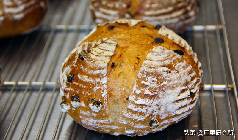 欧包热风烤箱,欧包很难做吗