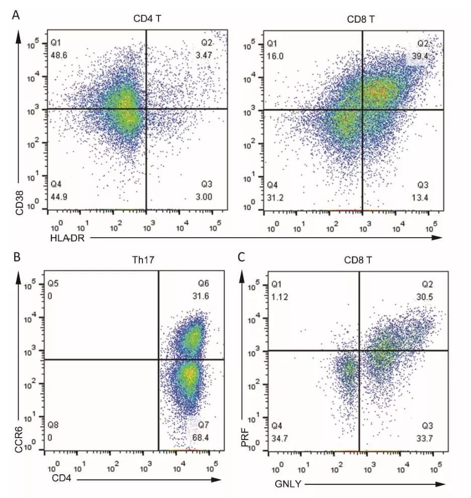 全球第一例新冠肺炎确诊病例,世界首例新冠肺炎解剖第一人
