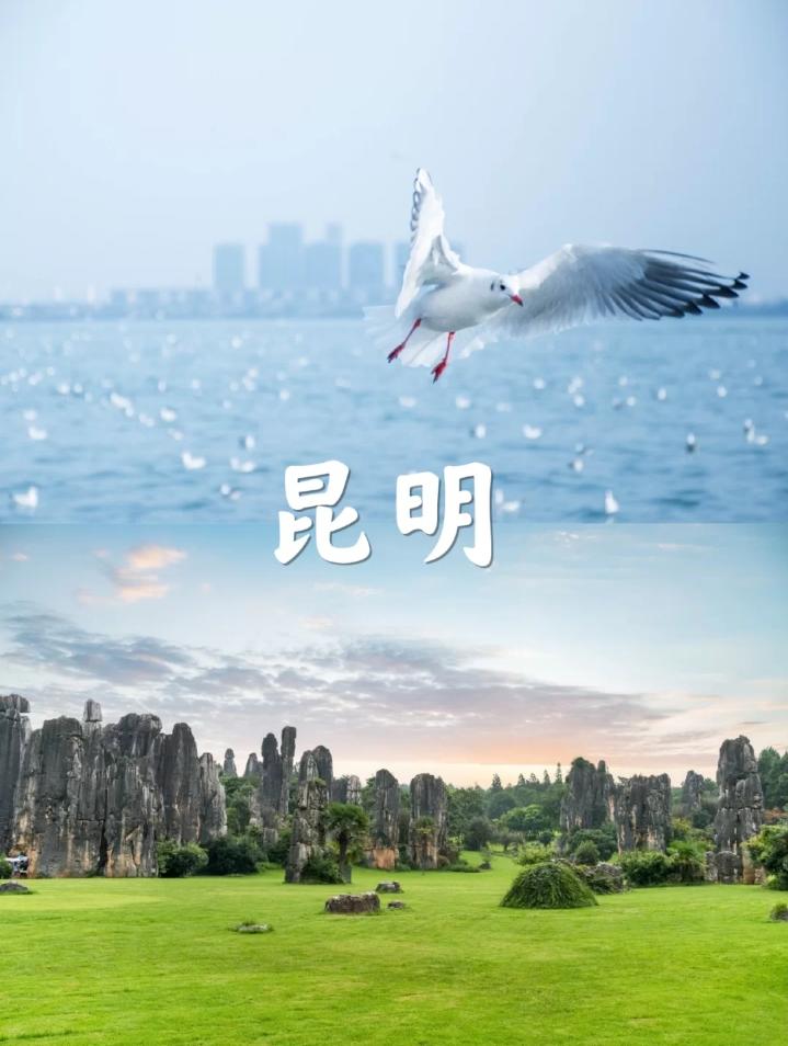 学生自由行去云南旅游划算吗？暑假去云南旅游贵不贵？两个人多少