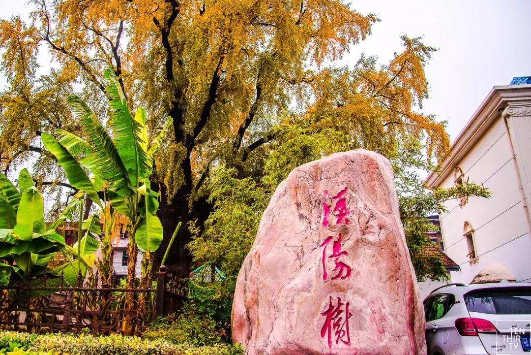 武汉最新古与潮室内网红打卡点,武汉周边新晋7大网红打卡地