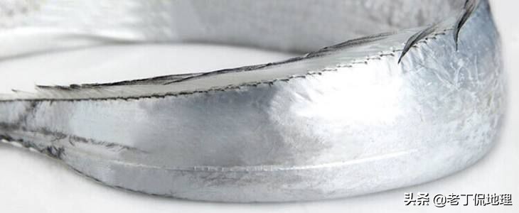 中国海鲜地图,中国海鲜最多地区