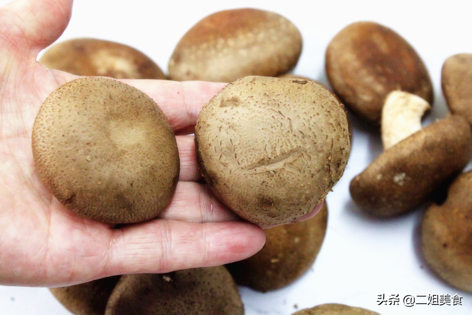 挑新鲜香菇,鲜香菇怎么选