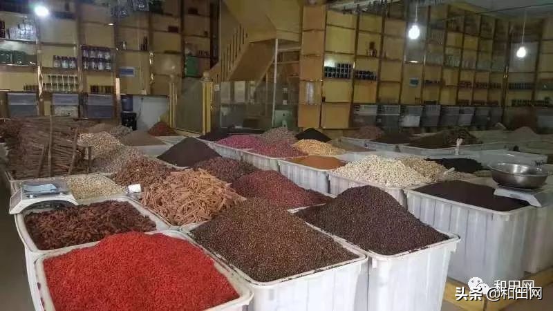 和田欣明南国城美食,和田欣明南国城音乐餐吧联系方式