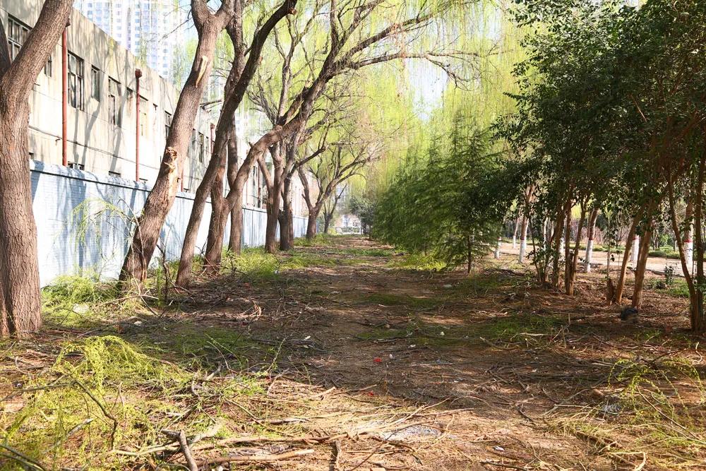 新学期有哪些新变化,许昌职业技术学院新学期工作