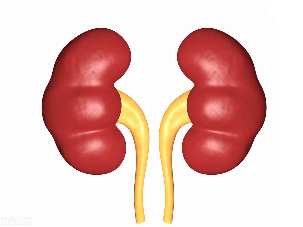 尿路感染一定会引发肾炎吗,尿路感染会引起肾炎吗