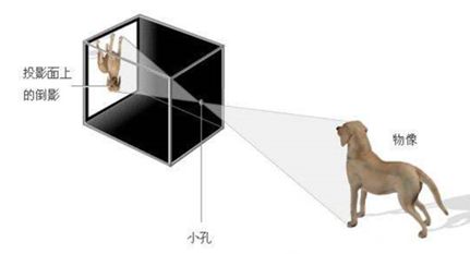 照相机是怎么拍出照片的,照相机是如何快速成像