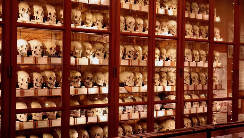 爱因斯坦的大脑在哪个博物馆,爱因斯坦的大脑为科学奉献一生