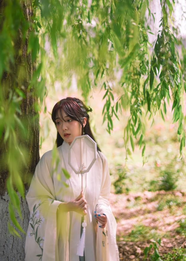 又刷屏了!高新这片花海,惊艳你的朋友圈!