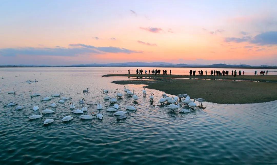 又一条最美自驾线路,又一条绝美进藏自驾公路