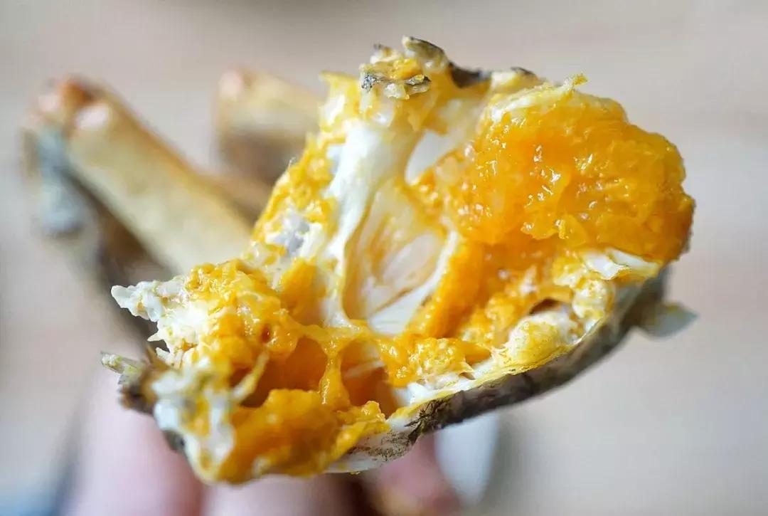 大闸蟹要公蟹的还是母蟹的好吃,现在吃大闸蟹是公的好还是母的好