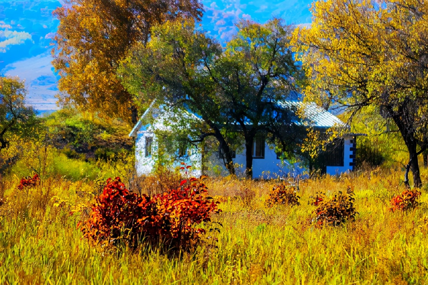 行摄美景,行摄塞外美景