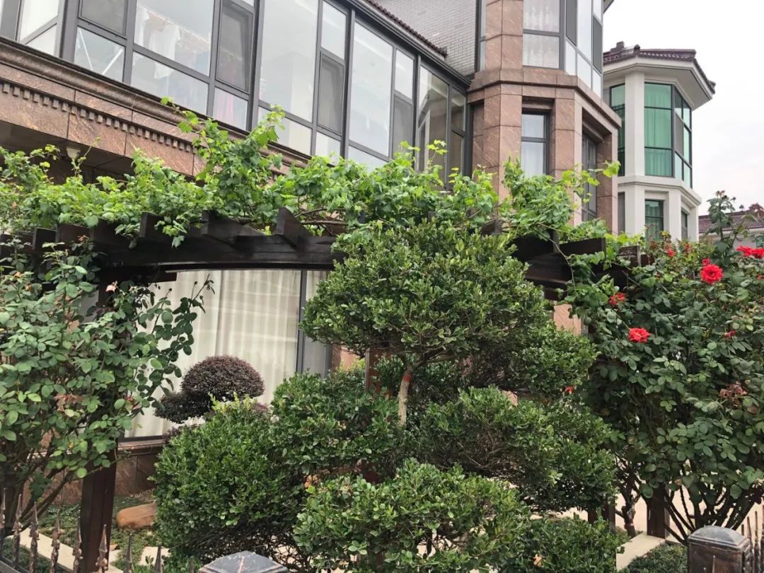 无锡江阴美丽田园,庭院深深美如画