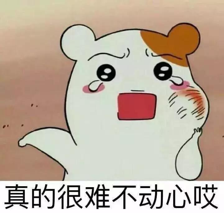 情人节送老婆什么礼物有纪念意义,情人节送男朋友什么礼物1000左右