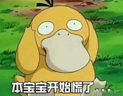 昆虫做的珠宝首饰,用昆虫做的艺术品