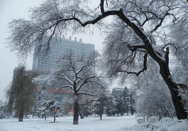 十五的月亮赏月,十五的月亮观赏时间