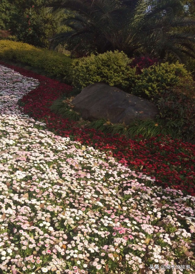 杭州市萧山区湘湖旅游攻略,湘湖旅游攻略一日游最佳路线