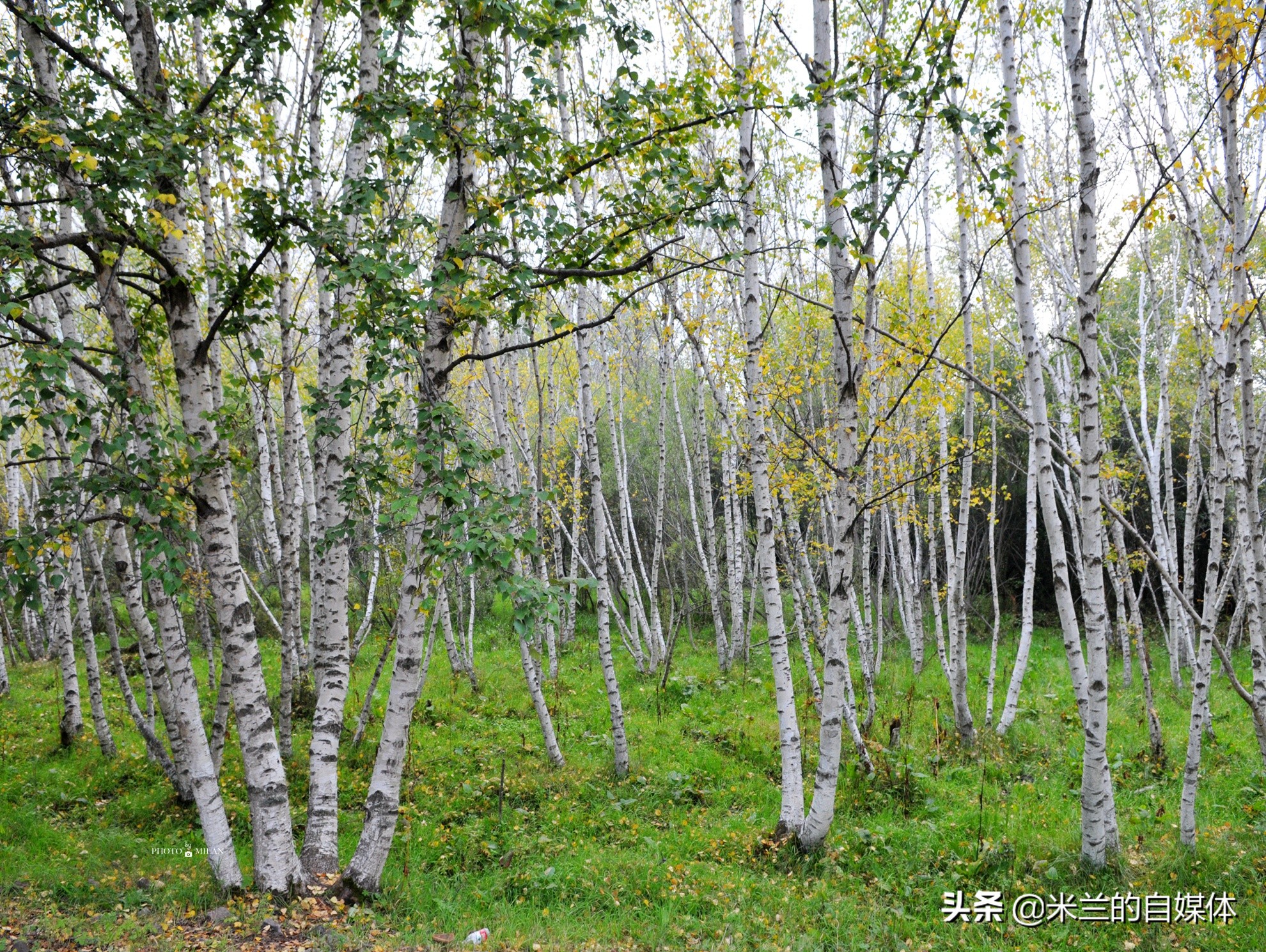 北京周边二日自驾游最佳路线图,北京周边自驾游两天一夜攻略草原