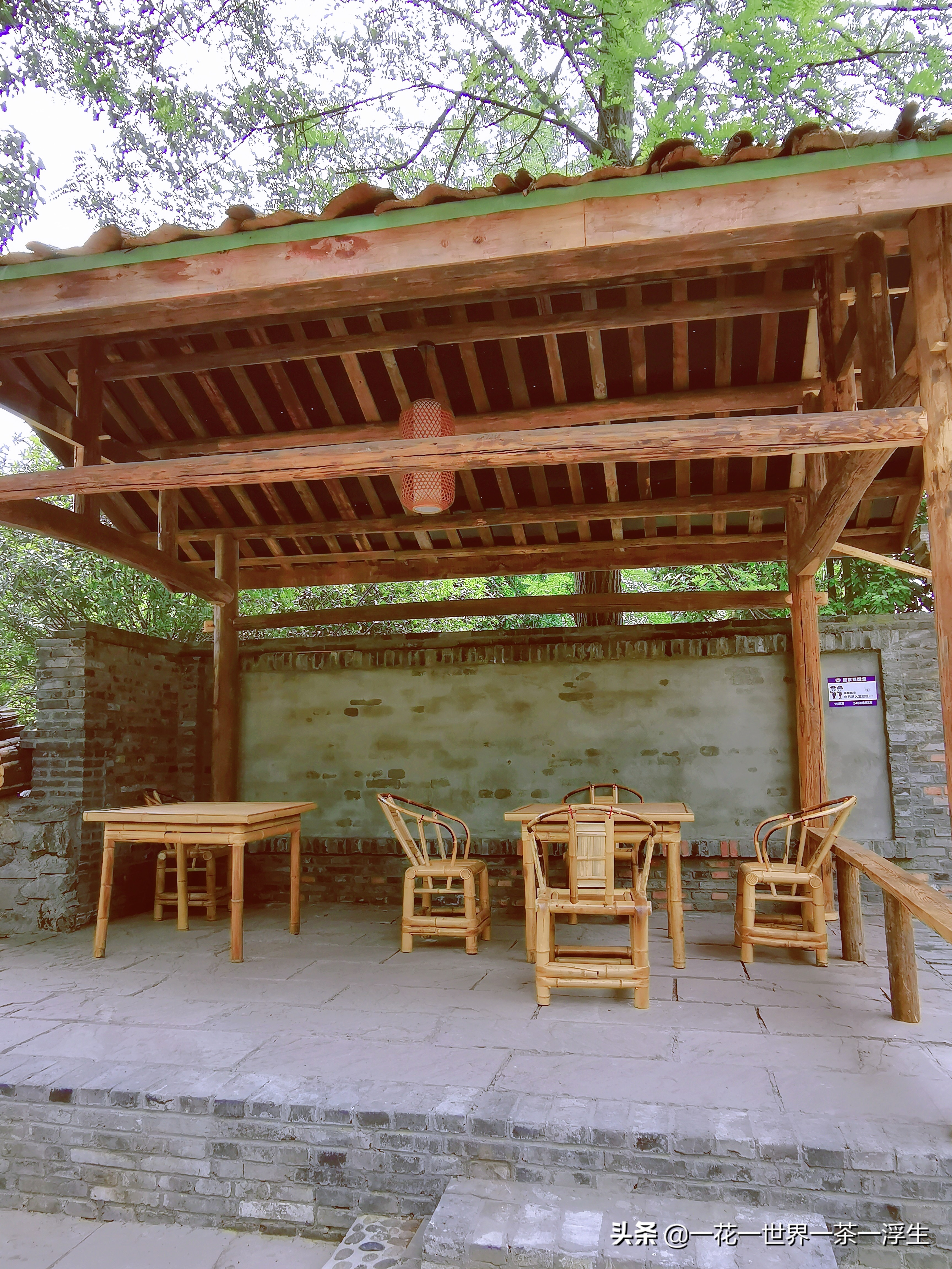 寻找巴适的成都小院（2）