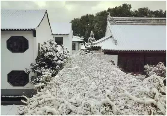 景范新生报名,景范小学开学