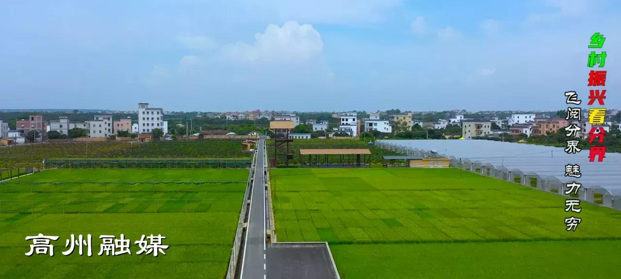 飞阅系列,飞阅新闻最新消息