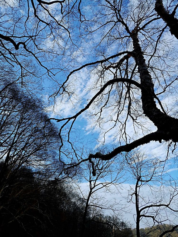 20201101惊悚之行~首阳山大坪梁单日横穿+原返