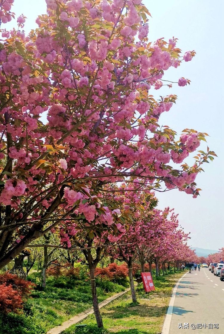 句容自驾三日游,自驾游镇江市句容