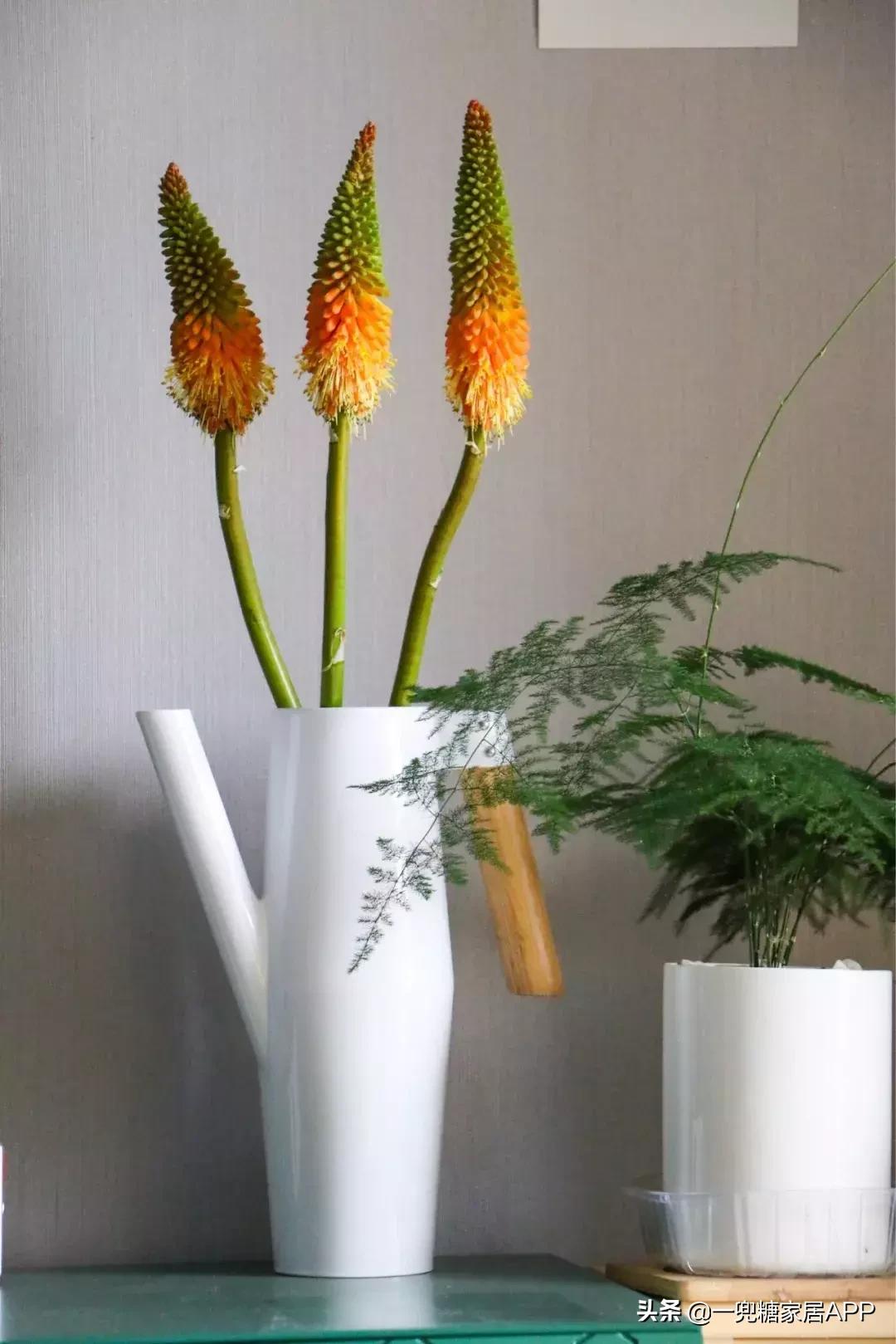 便宜又高级的家居好物,高颜值家居小物推荐