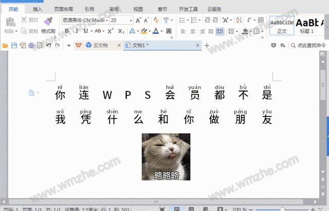 「干货集」WPS技巧汇总(一)