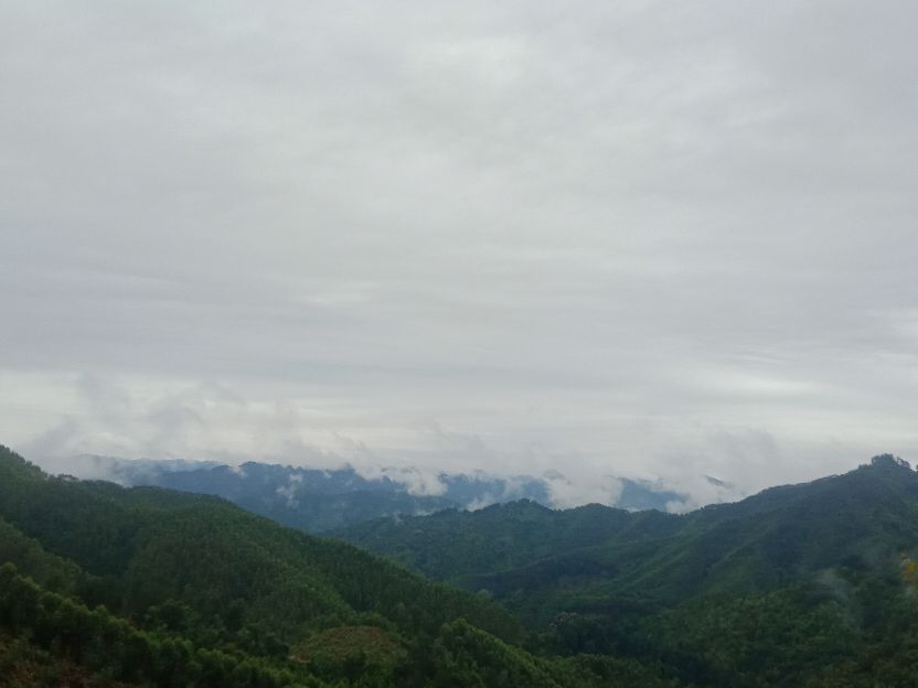 中国人民武装警察部队森林消防,武装森林警察部队