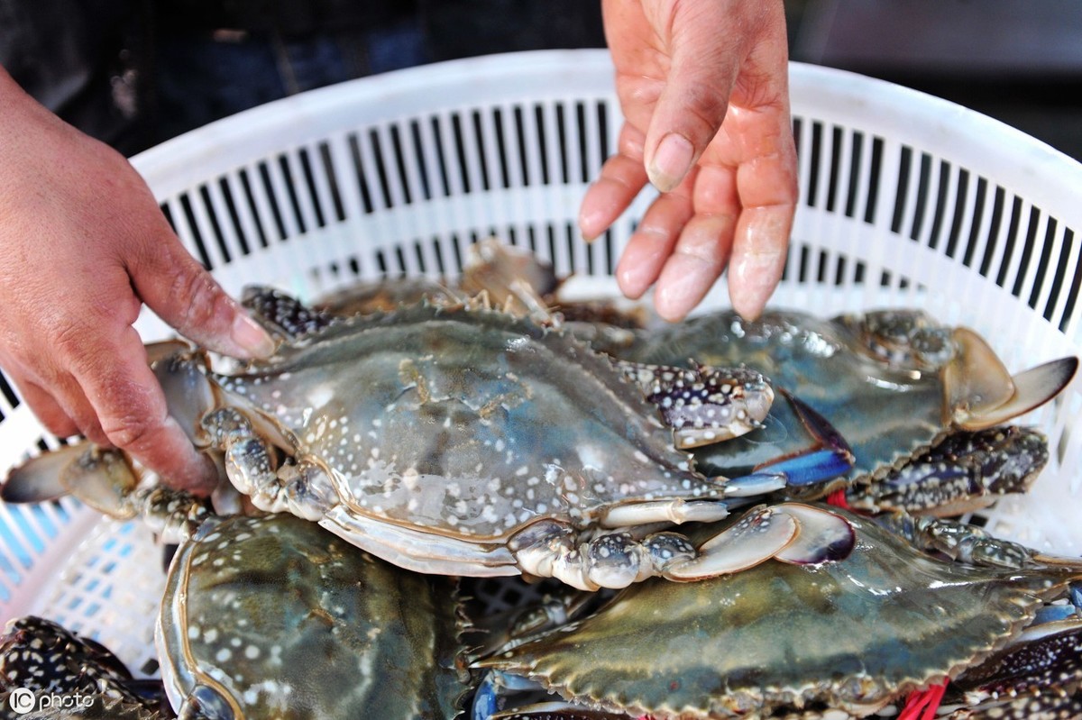 吃螃蟹用什么办法挑的螃蟹最好吃,怎样吃螃蟹方法才正确