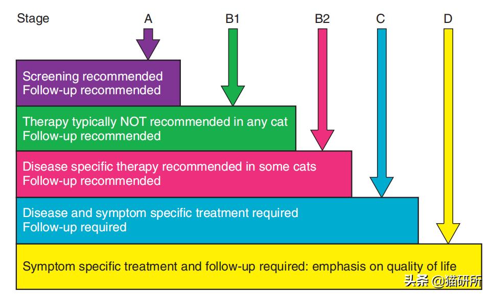 猫咪常见疾病用药用量,猫咪各种慢性病